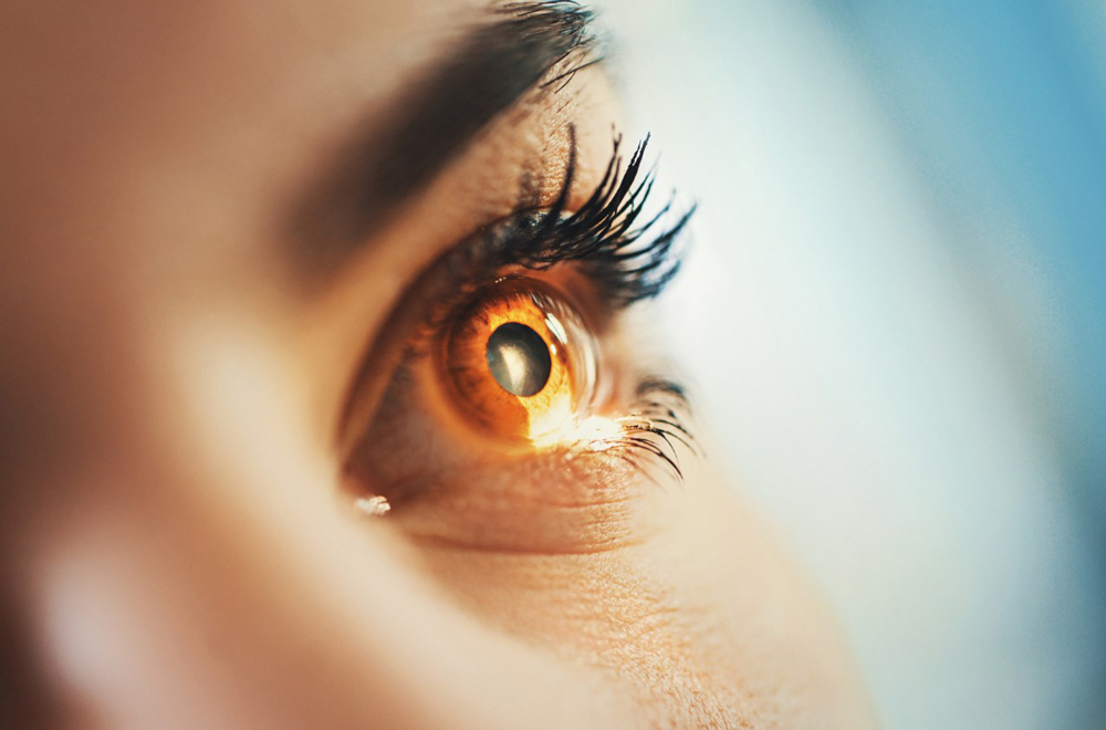 الرؤية بعد عملية ترقيع القرنية|الرؤية بعد عملية ترقيع القرنية|الرؤية بعد عملية ترقيع القرنية